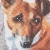 www.penningtonART.co.uk