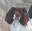 www.penningtonART.co.uk