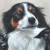 www.penningtonART.co.uk